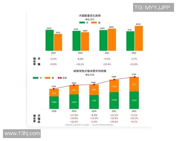 马内在足球世界的崛起与影响力分析及其未来发展潜力探讨